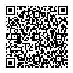 甚至于她一直以来就是为了要在瑞典这个诺贝尔奖的颁奖舞台上当场向全世界揭发自己的二维码生成