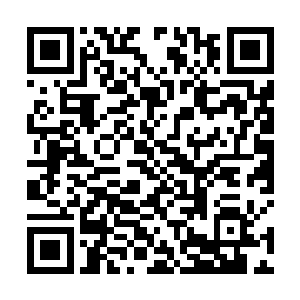 甚至于文件已经被坐在主位上面的那位给拿在手上面了二维码生成