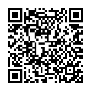 甚至于杨琛和曲鹤两个人都是站在门外老远的位置二维码生成