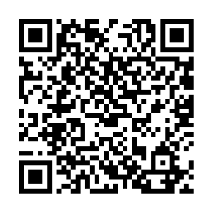 甚至于许多人都看到了那可能是属于战败的颓丧的灰气二维码生成
