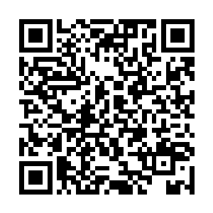 甚至从关节的缝隙中生长出来一株株绿意盎然的嫩芽二维码生成