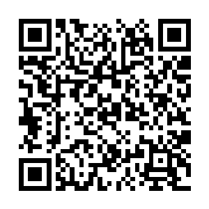 甚至他们还猜测过张潇晗是否会与范筱梵成为道侣二维码生成