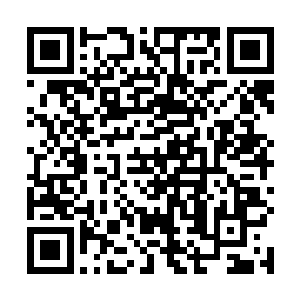 甚至他还要一五鼎三阶的实力越级挑战六鼎八阶的剑三二维码生成