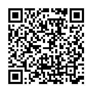 甚至偶尔还有五级甚至六级的庞大巨蛇身影闪过二维码生成