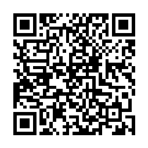甚至其中一个葫芦之内隐隐散发出连他都感到吃惊的气息二维码生成