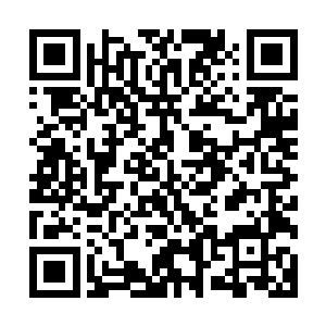 甚至几乎已经跟他们彻底融为一体的力量渐渐苏醒过来了一样二维码生成