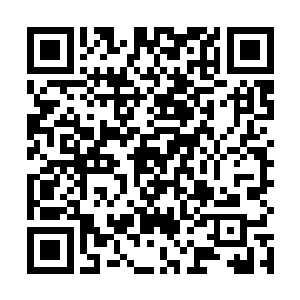 甚至分离出去的浮游炮的数量都远远超过了妮可的浮游二维码生成
