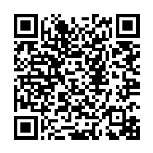 甚至包括安妮和莫胖子的眼中都露出了不怀好意的笑意二维码生成