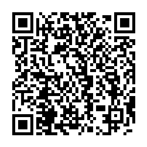 甚至化神期的几个修士都将目光看向了那两个金丹期的和元婴期的二维码生成