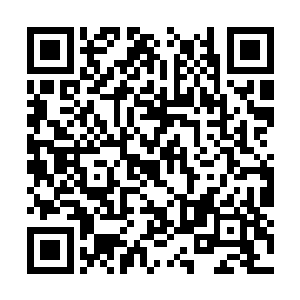 甚至发现了灵异子弹来对付一只无解的灵异恐怖片二维码生成