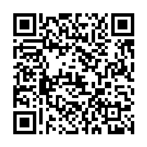 甚至可以看到无数飞禽走兽从远处湿地雨林中四散奔逃二维码生成