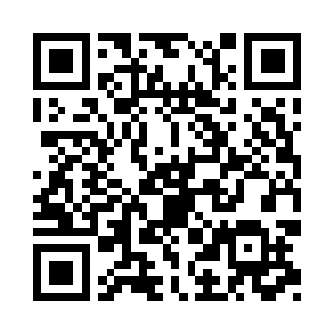甚至可以看清红龙伪装自己的那个山谷二维码生成