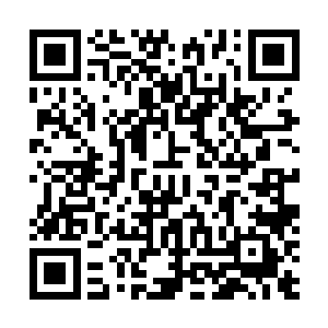 甚至可以解析出楚旬吞噬基因之后所得到的能力和效果了二维码生成