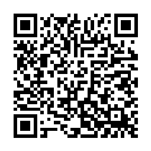 甚至可以说是超值的……所以柳贤赫毫不犹豫便下本钱了二维码生成