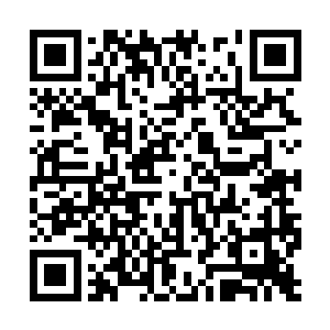 甚至可以随心所欲向自己的父母还有老师大吼大叫二维码生成