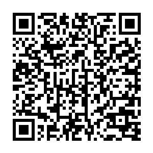 甚至在她跟我说蒋美媛来的时候我还在想容丹枫是不是在跟蒋美媛玩儿反间计二维码生成