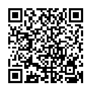 甚至在神界随便捡一块石头都比下界的一些极品炼器材料好不少二维码生成