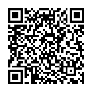 甚至在进场的时候也没有太多的人去注视他们两个人二维码生成