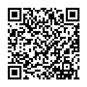 甚至在那繁茂枝叶的末端还生长出了一些小果子二维码生成