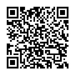 甚至坐的抽水马桶的品牌……只要你想植入广告二维码生成