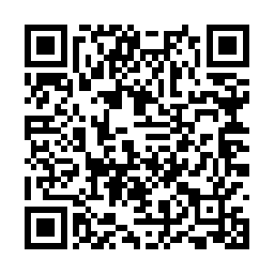 甚至她的深思熟虑远远地超越了家里的每一个孩子二维码生成