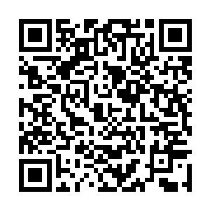 甚至她还认为自己将来可能会成为天灵大陆的女王二维码生成