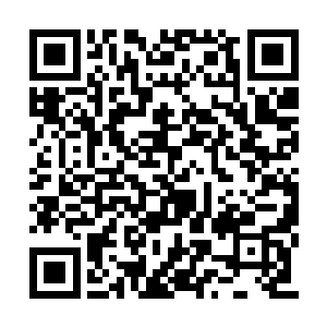 甚至就算他红到另外那个时空的李小龙那个级别二维码生成