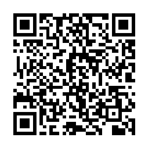 甚至就算是楚旬施展出来的创世神雷或者是灭世天火二维码生成