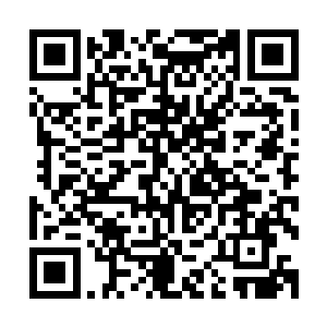 甚至就连体内引以为豪的三级巫师的精神力和法力都无法调动二维码生成