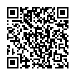 甚至就连原本激动无比的玄灵族人也都瞬间安静下来二维码生成