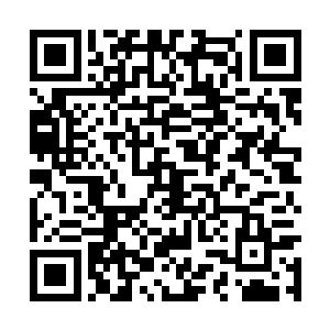 甚至就连在试炼之路名气极大的梨落仙子都不搭理二维码生成