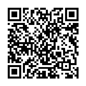 甚至就连曾经面对过天位强者的他也忍不住感到一丝心颤二维码生成