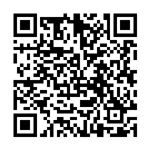 甚至当贺妍蓉发表了一段自己对于中外绘画的看法后二维码生成