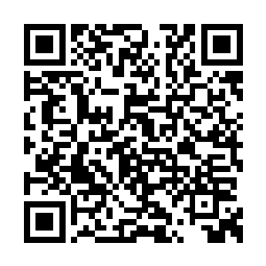 甚至心魔大帝唯一重新的后辈魔严……也没回来二维码生成