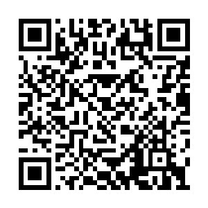 甚至忍不住在想自己是不是伤势太重出现了幻觉二维码生成