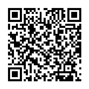 甚至忘记了他自己正在以一敌三的对抗三位大宗师级高手二维码生成