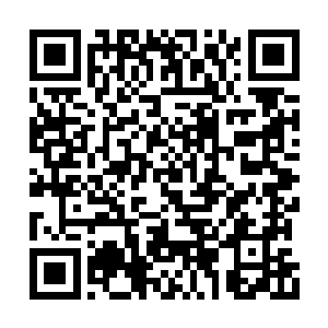 甚至拉出几个人让白心白柔见识一下自己的强悍二维码生成