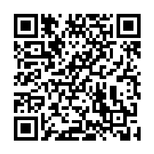 甚至是依靠这丹药内的蛟龙之力修行一些特殊的神通秘法二维码生成