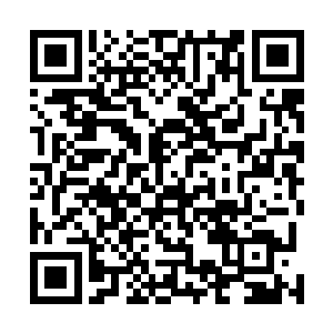 甚至是包括那些根本就不知道上层风向的筑基和金丹弟子二维码生成