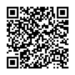 甚至是她到底有没有为那位年轻谪仙人珠胎暗结二维码生成