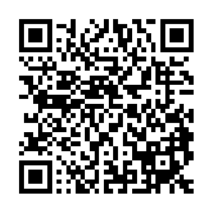 甚至曾猜想这丫头可能会是所有人中臻至这个层次最晚的那一个二维码生成