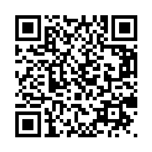 甚至有一次在钟杨颖发起的慈善晚会上二维码生成