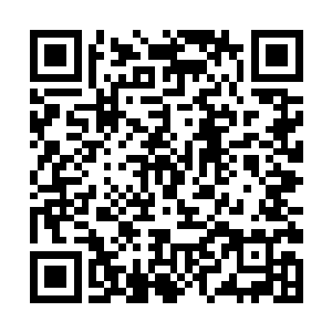 甚至有一次神界中一个不下于十派之一的一个大门派二维码生成