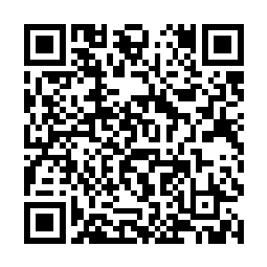 甚至有些族长的阵道知识已经达到了一个较高的水平二维码生成