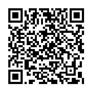 甚至有人说景国的官员有一半是柳山的门生故旧二维码生成