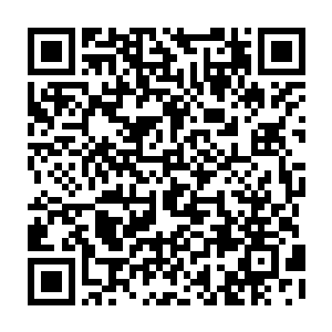 甚至有很多的小孩子还尤其喜欢坐在降落到地面上的普通虫族后背上玩耍二维码生成