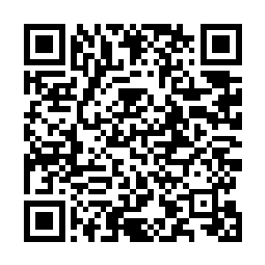 甚至有的已经无聊的打哈欠的众多地阶强者也都来了精神二维码生成