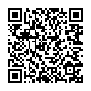 甚至有资格在南方巫师联盟的上议院中占据一个席位二维码生成