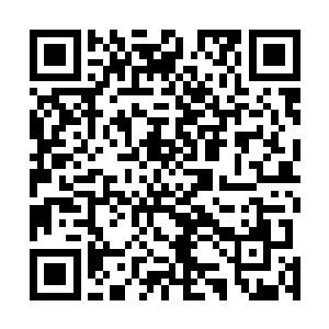 甚至根本不可能穿透荒古道场的天道护罩看到他们的存在二维码生成