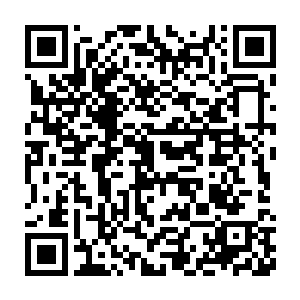 甚至根本就没时间去接外面的片约了偏偏她本来还是个喜欢懒的人二维码生成